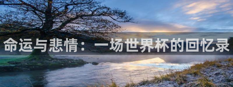世界杯时间：命运与悲情：一场世界杯的回忆录