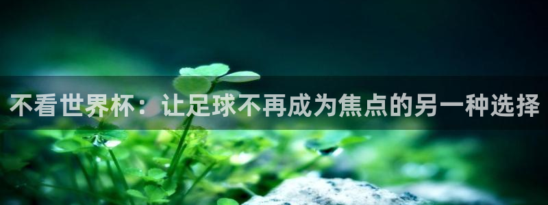 2026 世界杯：不看世界杯：让足球不再成为焦点的另一种选择