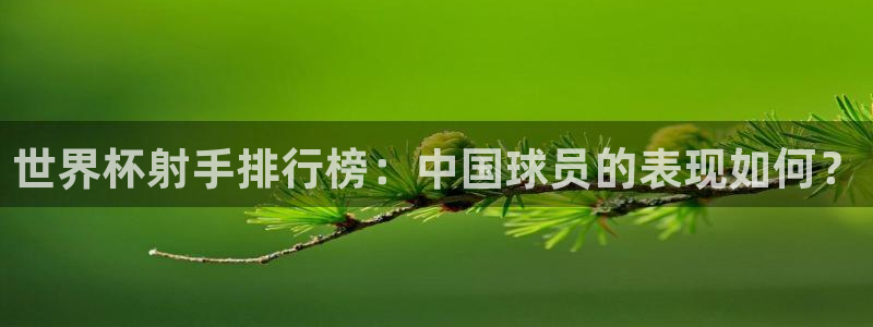 2026世界杯官网入口：世界杯射手排行榜：中国球员的表现如何？
