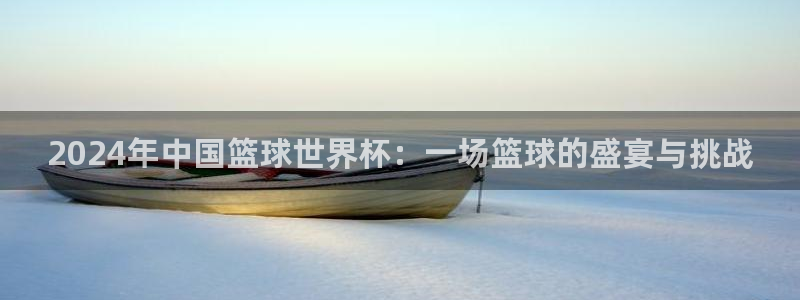 世界杯预选赛：2024年中国篮球世界杯：一场篮球的盛宴与挑战