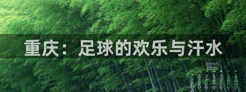 世界杯足球赛：重庆：足球的欢乐与汗水