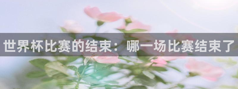 欧洲世界杯预选赛：世界杯比赛的结束：哪一场比赛结束了