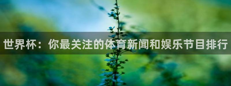 亚洲杯足球：世界杯：你最关注的体育新闻和娱乐节目排行