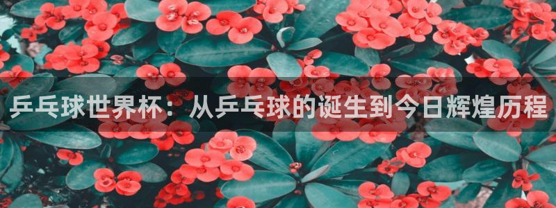 2026足球世界杯赛程：乒乓球世界杯：从乒乓球的诞生到今日辉煌历程