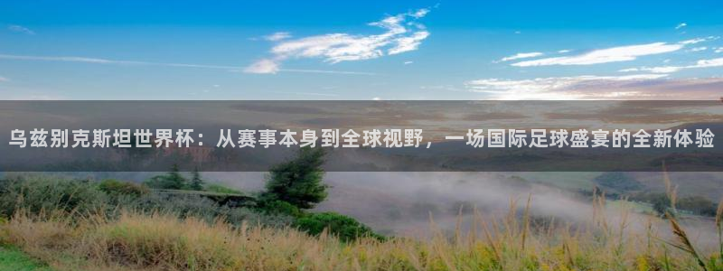 免费看足球直播比赛：乌兹别克斯坦世界杯：从赛事本身到全球视野，一场国际足球盛宴的全新体验
