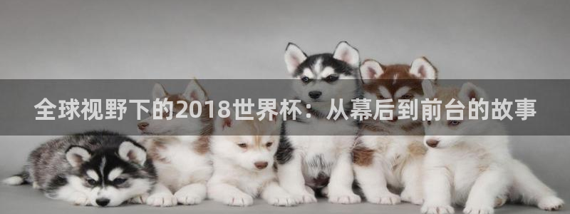 世界杯2026赛程：全球视野下的2018世界杯：从幕后到前台的故事