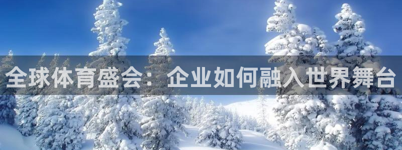 澳门世界杯直播：全球体育盛会：企业如何融入世界舞台
