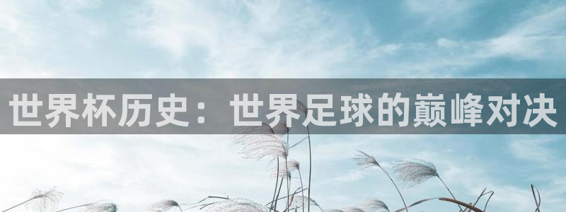 世预赛免费直播入口：世界杯历史：世界足球的巅峰对决