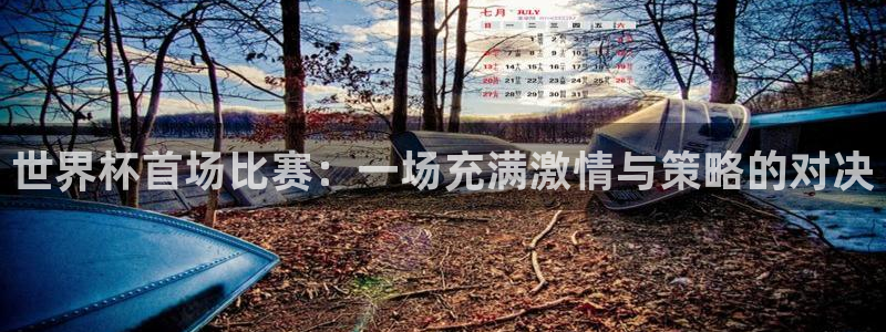 世界杯直播：世界杯首场比赛：一场充满激情与策略的对决