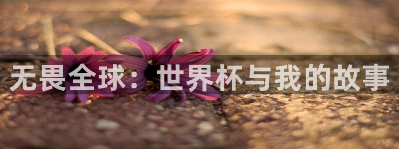 足球世界杯赛程:无畏全球:世界杯与我的故事