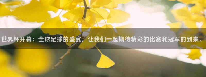 2026世界杯倒计时:世界杯开幕:全球足球的盛宴,让我们一起期待精彩的比赛和冠军的到来。