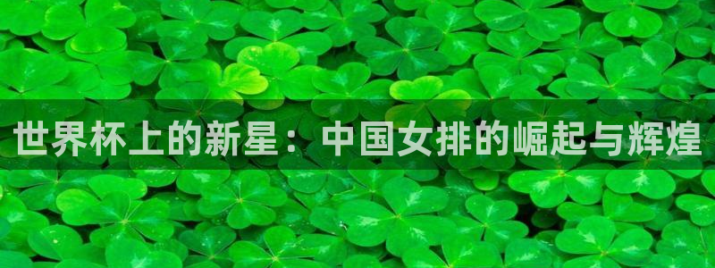 世界杯预赛赛程：世界杯上的新星：中国女排的崛起与辉煌