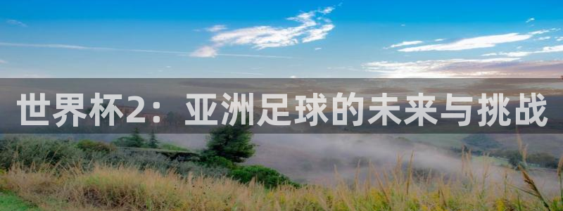 世界杯球赛：世界杯2：亚洲足球的未来与挑战