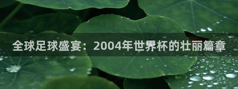 世预赛免费直播入口：全球足球盛宴：2004年世界杯的壮丽篇章